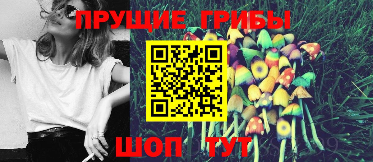 Псилоцибиновые грибы Psilocybe  Вход с VPN  Краснознаменск 